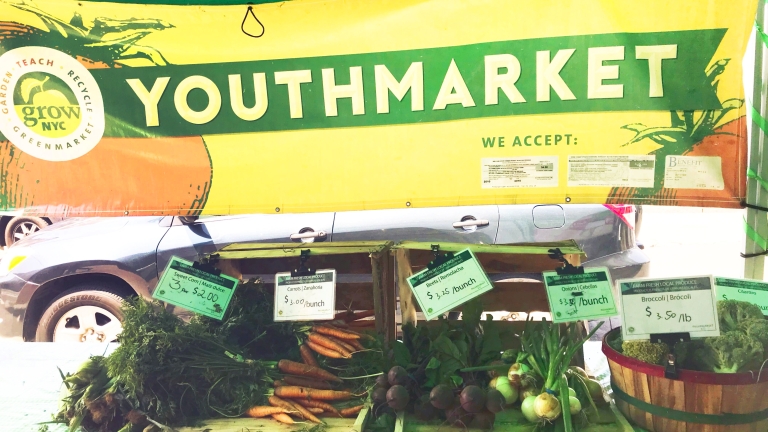 NYCEDC, GrowNYC, Council Member Richards and Community Stakeholders Launch Youthmarket in Far Rockaway